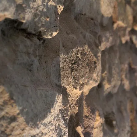 Bed & Breakfast D'hotes - L'ecurie 4*